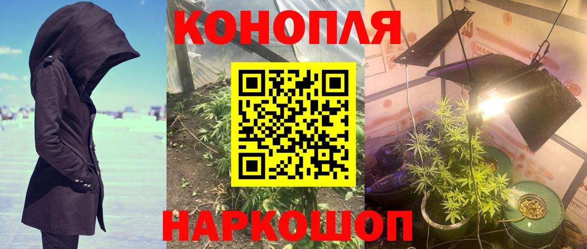 Канабис Bruce Banner Вязники